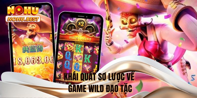 Khái quát sơ lược về game Wild đạo tặc